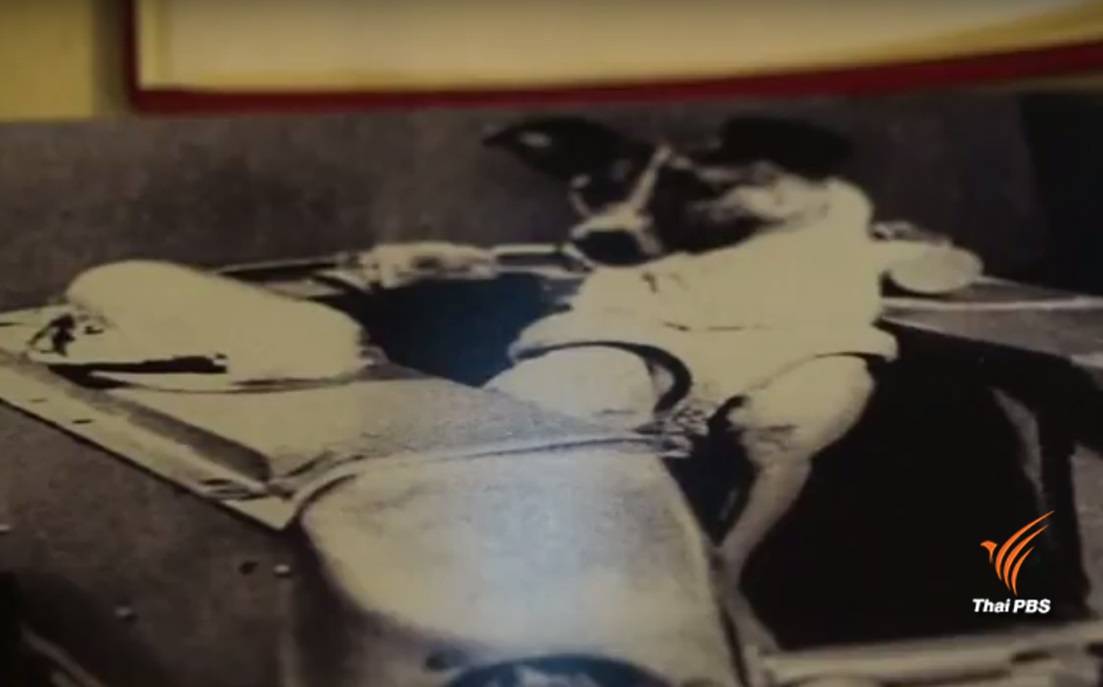 รัสเซียรำลึก 60 ปี "ไลก้า" สุนัขอวกาศตัวแรก