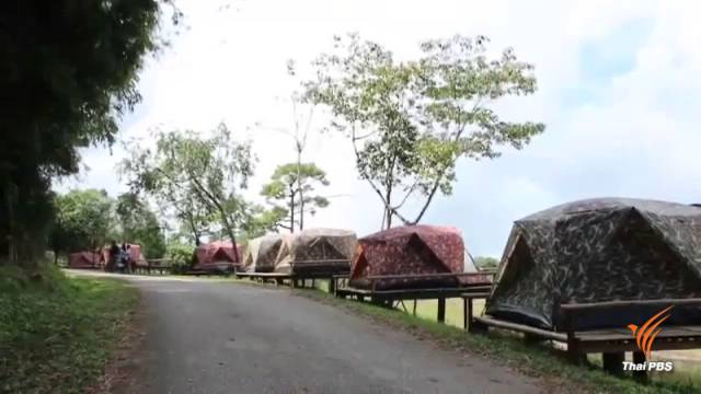ภูหินร่องกล้าเตรียมลานกางเต็นท์ คาดปีนี้นักท่องเที่ยวมากถึง 1 แสนคน