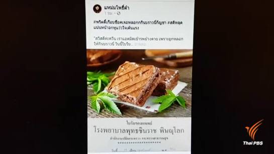 ผู้ว่าฯสุโขทัยสั่งตรวจสอบที่มาขนมบราวนี่ผสมกัญชา