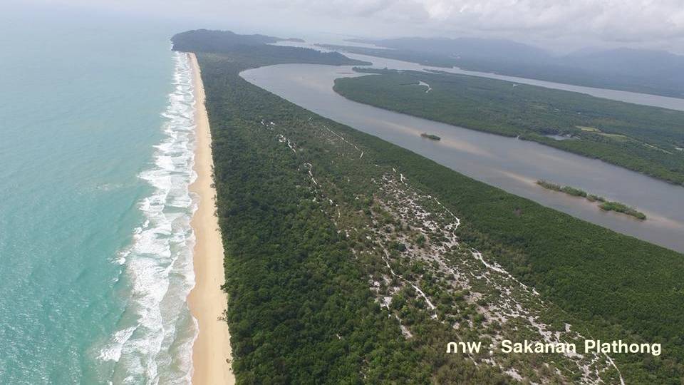 เปิดภาพ "ป่าชายหาดสมบูรณ์สุดในคาบสมุทรไทย"