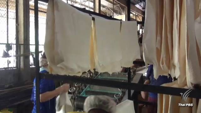 เกษตรกรร้องใช้ ม.44 แก้ปัญหาราคายางพารา