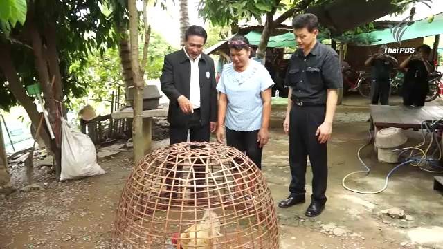 กรมควบคุมโรค ย้ำไม่พบการระบาดไข้หวัดนก