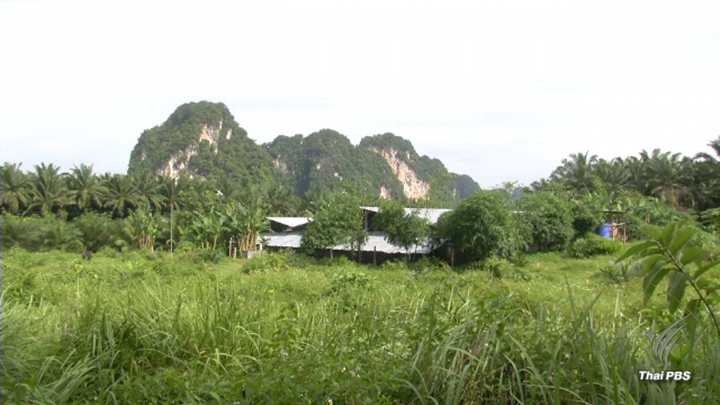 วิเคราะห์ชนวนฆ่า 8 ศพ-คาดปมที่ดินโรงโม่หินเขามโนราห์