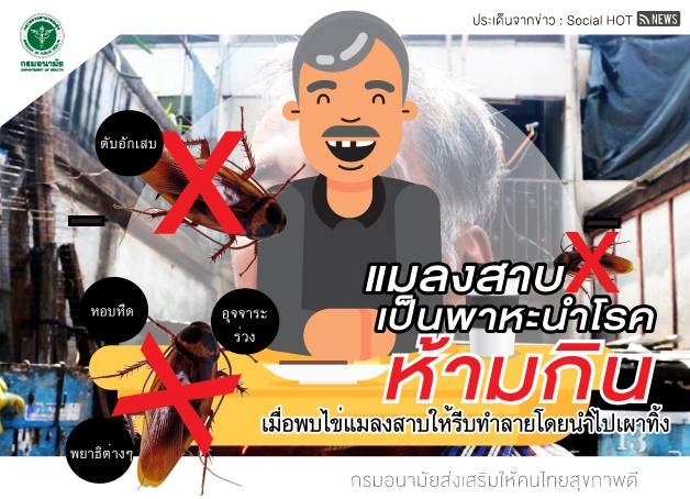 "แมลงสาบ" 1 ตัวสะสมเชื้อโรค-เตือนห้ามกินเด็ดขาด