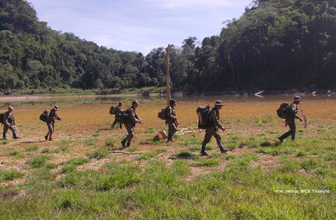 วิ่งระดมทุนเพื่อผู้พิทักษ์ป่า 30 ก.ค.นี้