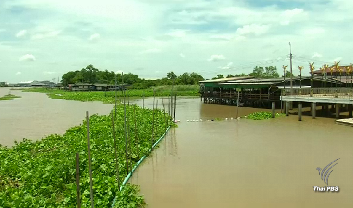 กทม.เก็บขยะ-พร่องน้ำรับมือน้ำทะเลหนุนสูง 4-8 ก.ย.นี้