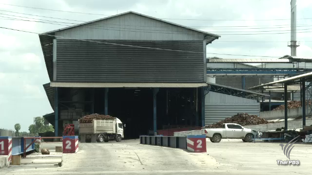 สั่งปิด 45 วันโรงงานสกัดน้ำมันปาล์มนครศรีฯ ปล่อยมลพิษ