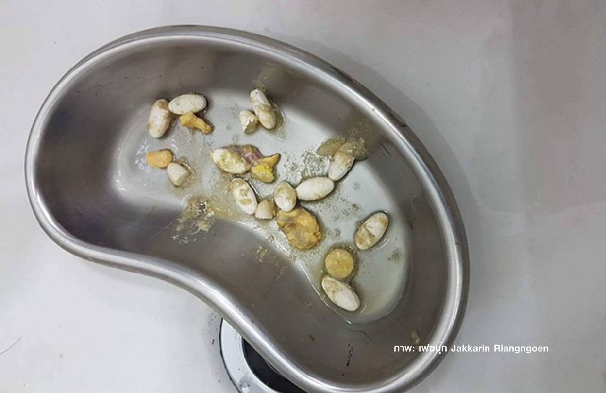 "มหิดล"สั่งสอบนศ.แพทย์วางยาเบื่อหมาหวังเงินประกัน