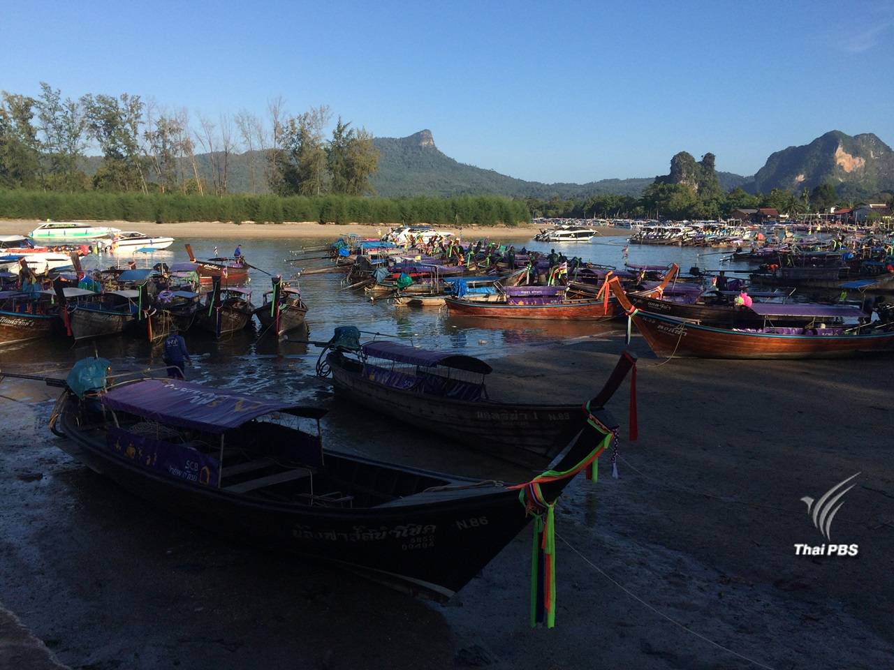 ชงเสนอบอร์ดอุทยาน ชี้ขาดลด-ขึ้นค่าธรรมเนียม 27 ก.พ.นี้