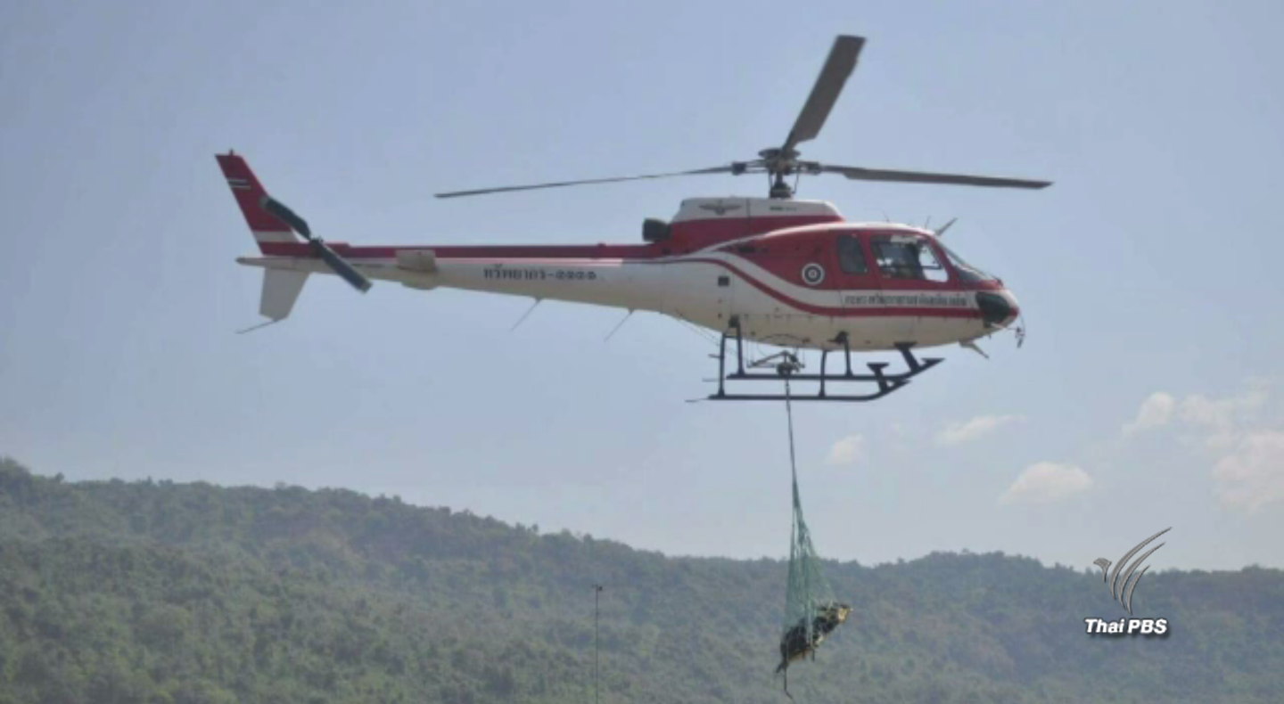กรมอุทยานฯ สั่งเร่งหาสาเหตุหมีตกเฮลิคอปเตอร์ตายภายใน 30 วัน