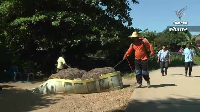 ปศุสัตว์มั่นใจไทยปลอด "ไข้หวัดนก"