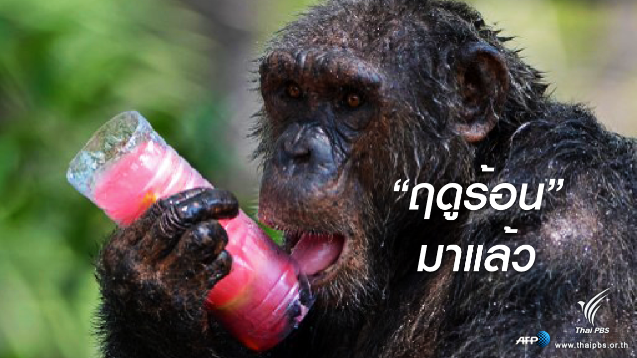 “ฤดูร้อน” มาแล้ว อุณหภูมิสูงสุด 43 องศาฯ อุตุฯ เตือน 7- 9 มี.ค.ระวังอันตรายจากพายุฤดูร้อน