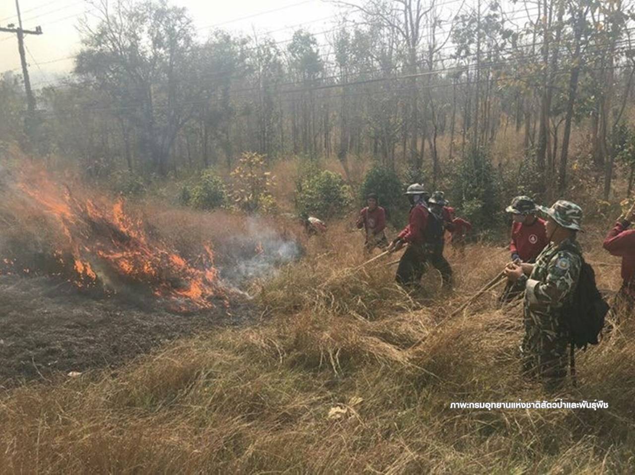 คพ.เปิดบทลงโทษผู้ลักลอบเผาป่า 25 ไร่จำคุก 4 ปี-ส่งเป็นคดีพิเศษ
