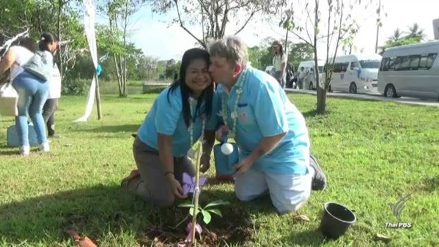 คู่รักวิวาห์ใต้สมุทร 2017 ปลูกต้นไม้แห่งความรักเป็นที่ระลึก