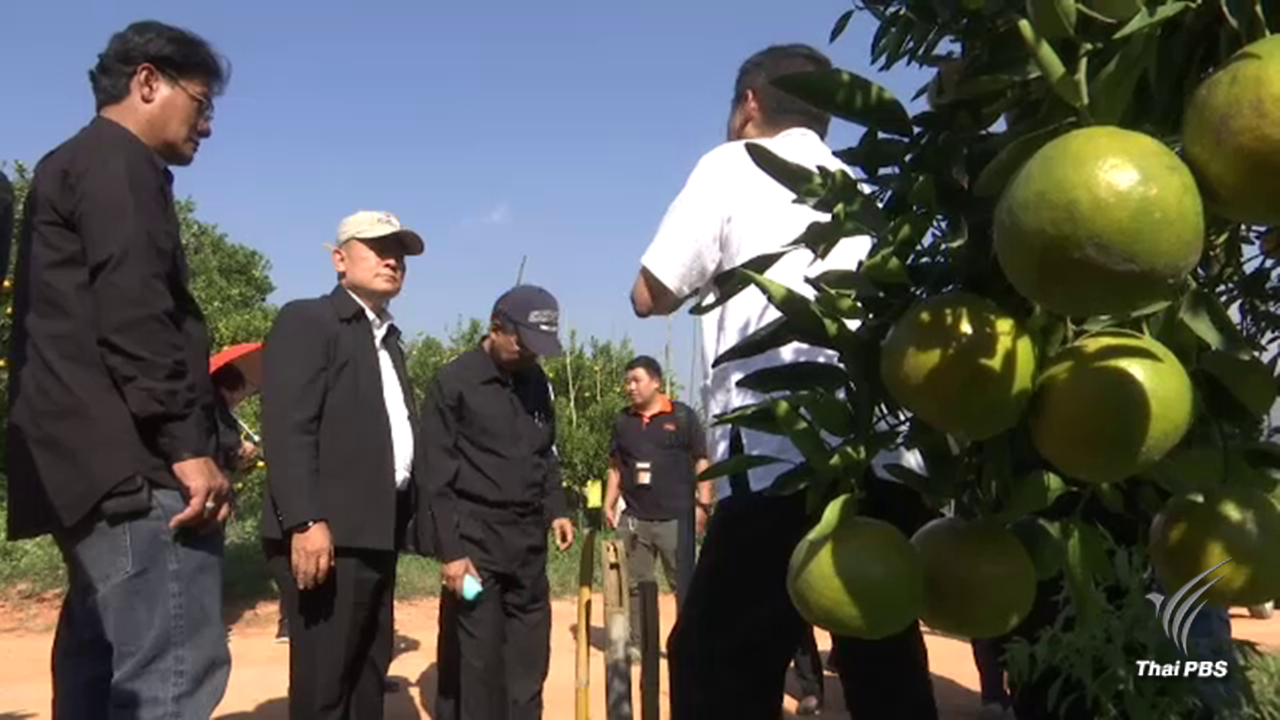 ส.ป.ก.สะดุดจัดสรรที่ดินสวนส้ม-เกษตรกร 93 รายอ้างสิทธ์ทำกินก่อนประกาศยึดคืน