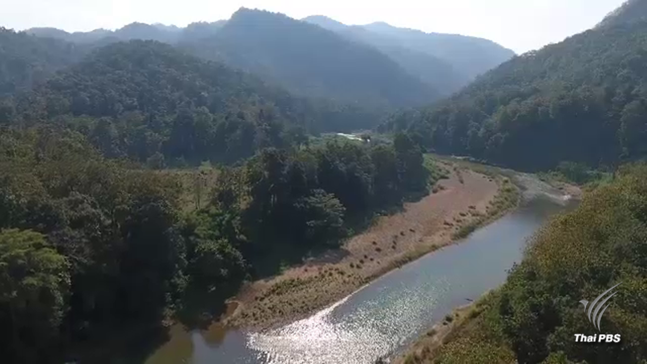 "กระทรวงเกษตร" อ่อนใจชาวนารั้นปลูกข้าวพุ่ง 4 ล้านไร่