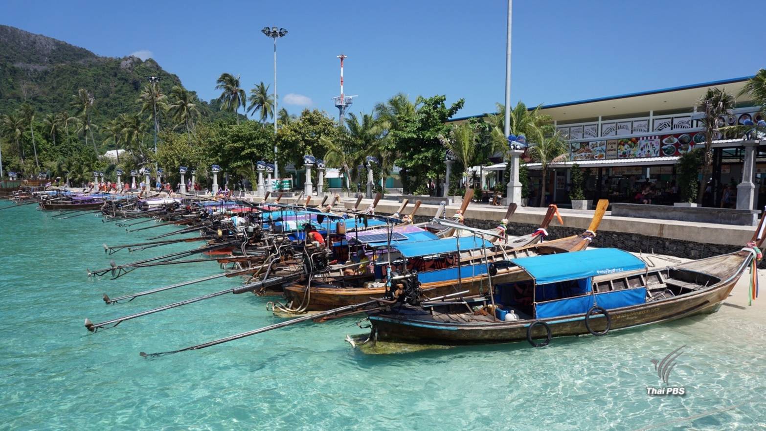 ชงเก็บค่าธรรมเนียมถุงพลาสติก แก้ปัญหา-ก่อนขยะล้น "เกาะพีพี"