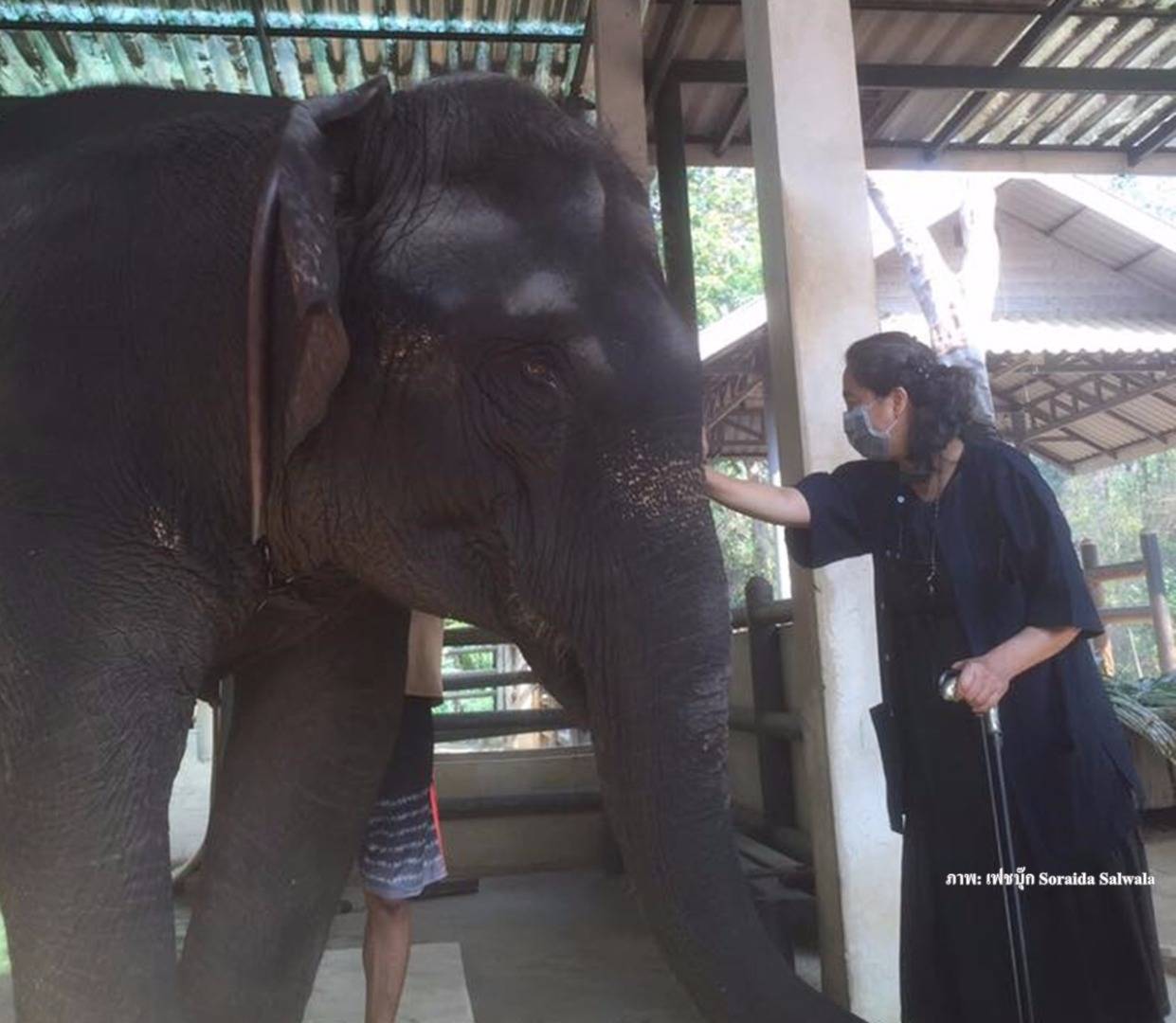 ปมดราม่าช้าง“โซไรดา” จ่อฟ้อง-หนุนตั้งกองทุนเพื่อช้าง