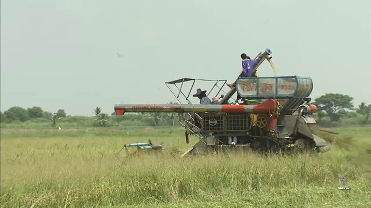 ลุ้น สนช.ผ่านร่างพ.ร.บ. เกษตรพันธสัญญา