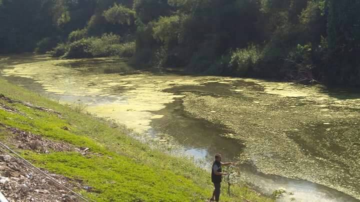 1 สัปดาห์รู้ผลชัดน้ำเสีย-ปลาตาย หน้าวัดสิกขวัฒนาราม