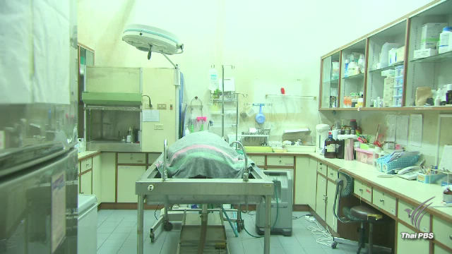 ด่วน "เต่าออมสิน" ตายแล้ว