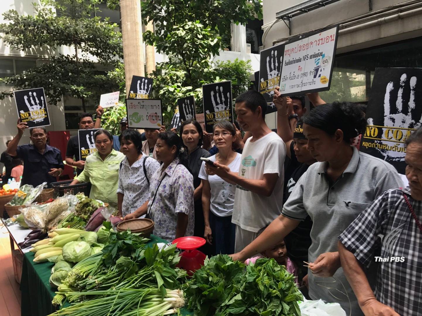 คชก.ชี้ชะตารายงาน EHIA โรงไฟฟ้าถ่านหินเขาหินซ้อน จ.ฉะเชิงเทรา บ่ายนี้