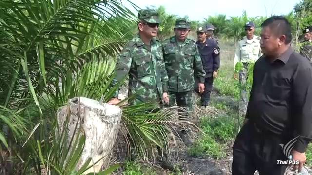 ยึดสวนปาล์มนายทุน รุกป่าภูพาน 98 ไร่
