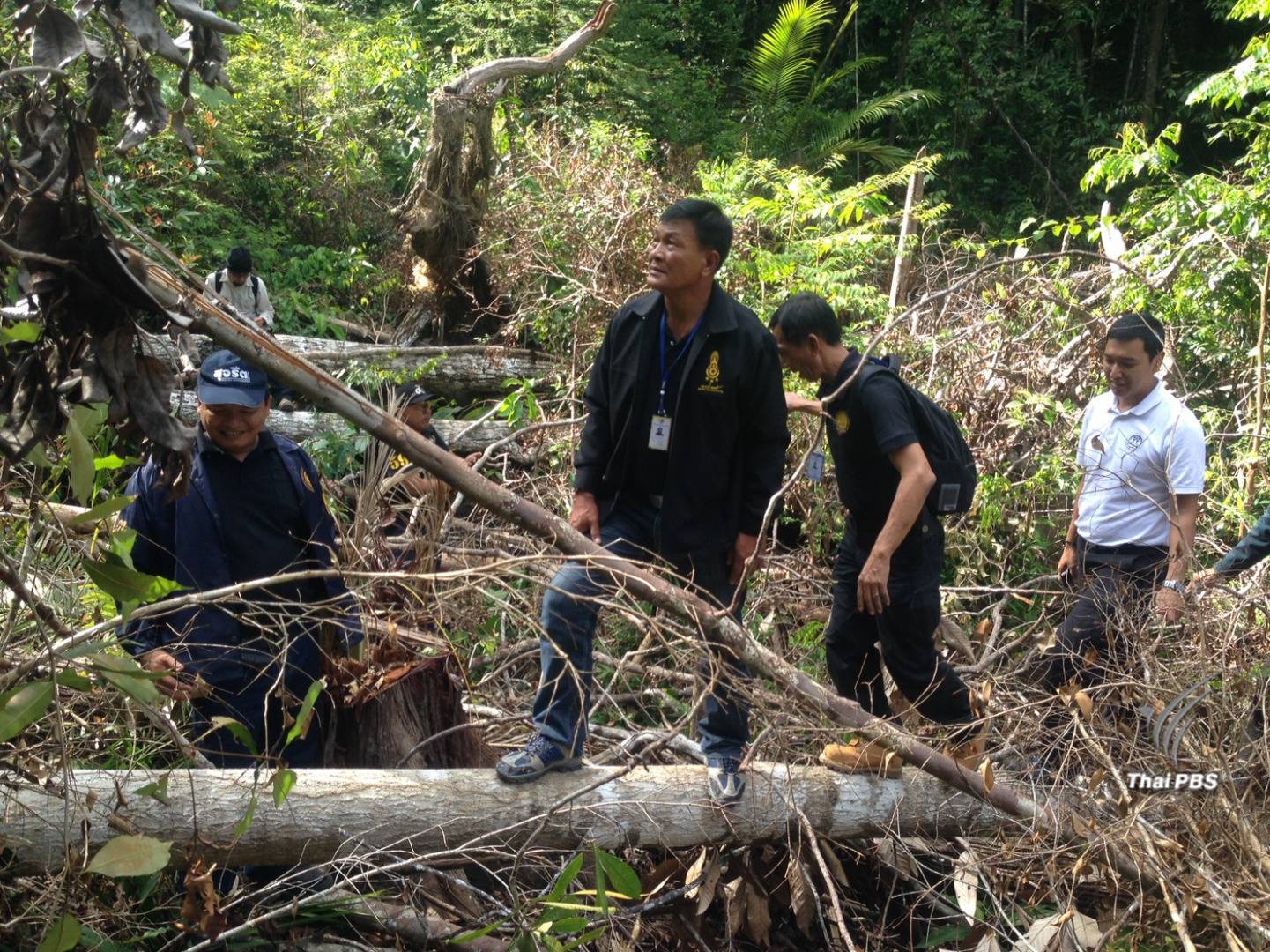 จนท.ตรวจสอบการตัดไม้เหมืองลาบู อ้างพัฒนาเเหล่งท่องเที่ยว