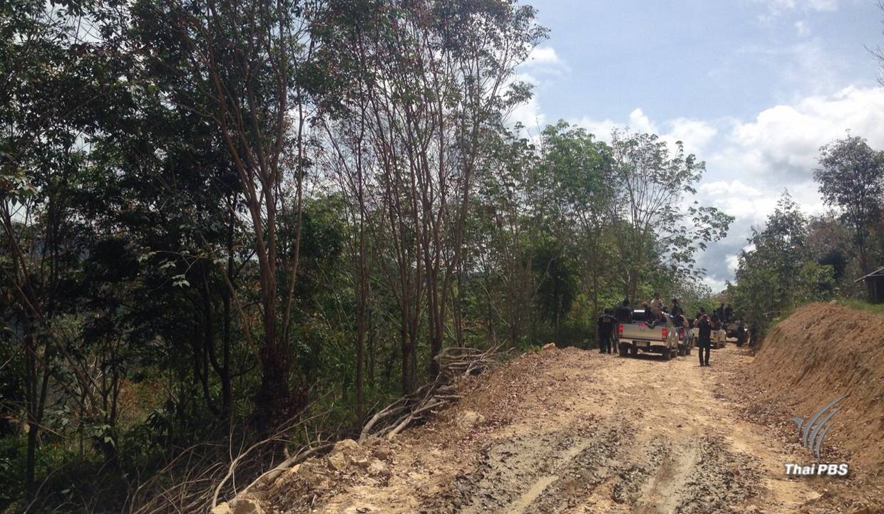 ทส.สั่งรื้อถนนในเขตป่าสงวนเบตง-ขึ้นบัญชีดำนายทุนรุกป่า 3 จว.ชายแดนใต้