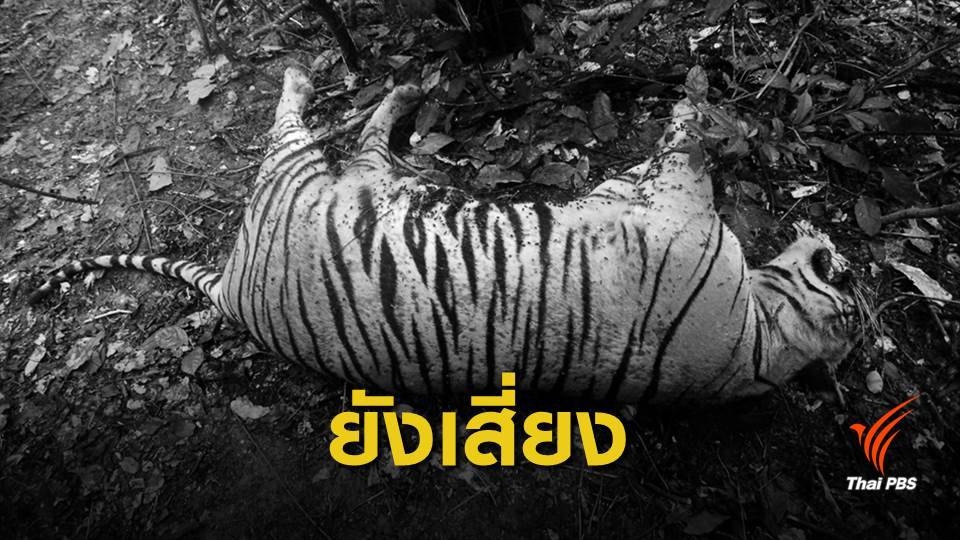สัตว์ป่าเสี่ยงถูกล่า เหตุมีความต้องการจากต่างชาติ