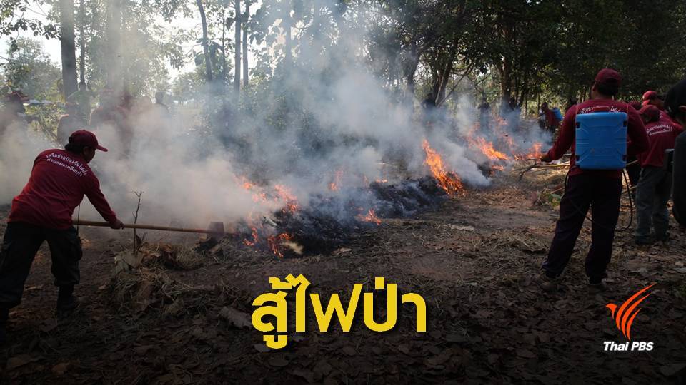 "กรมป่าไม้" กางแผนดับไฟป่า หลังพบจุดความร้อน 446 จุด