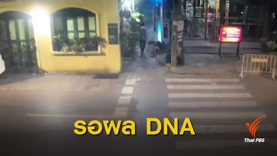 "สุรเชษฐ์" ยันรวบผู้ต้องหาล่วงละเมิดทางเพศ นทท.นิวซีแลนด์แล้ว