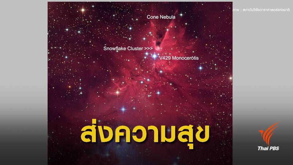 สดร.ส่งความสุข "ต้นคริสต์มาสแห่งเอกภพ" สื่อรักดาราศาสตร์