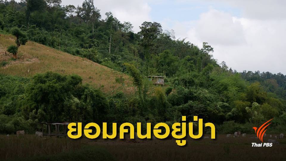 ครั้งแรก ! คทช.ไฟเขียวจัดคนอยู่ในป่าอนุรักษ์ 5.9 ล้านไร่