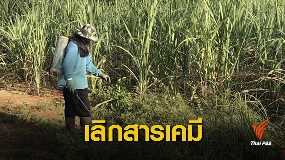 สภาเภสัชกรรม จี้ยกระดับ "พาราควอต" วัตถุอันตรายประเภท 4