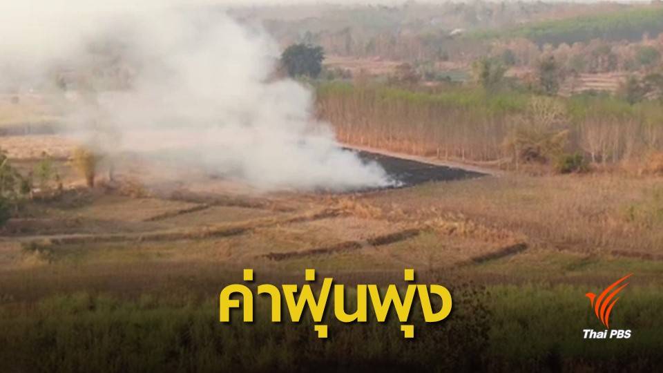 เผาไร่อ้อย-ตอซังข้าว ทำค่าฝุ่นภาคอีสานสูงเกินมาตรฐาน