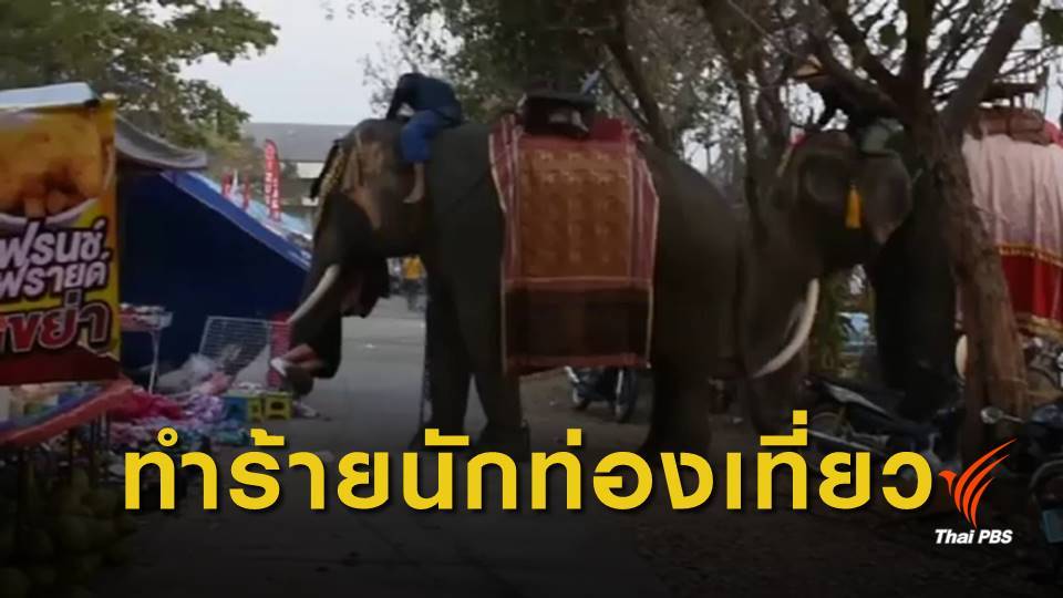 ระทึก! ช้างทำร้ายเด็ก 19 ปี กลางงานเทศกาลเมืองสุรินทร์