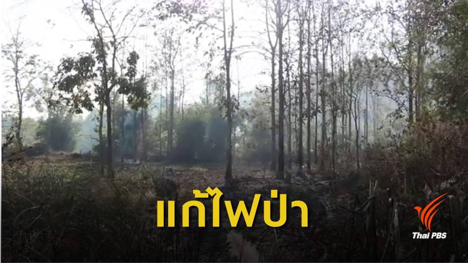 อุทยานแห่งชาติแม่วะ จ.ลำปาง ปิดป่า 70 วัน สกัดเผา-ล่าสัตว์