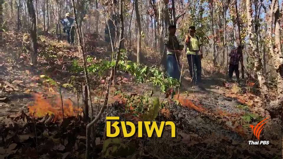 ทดสอบ “โดรน” ชิงเผาเชื้อเพลิงตัดวงจรไฟป่า