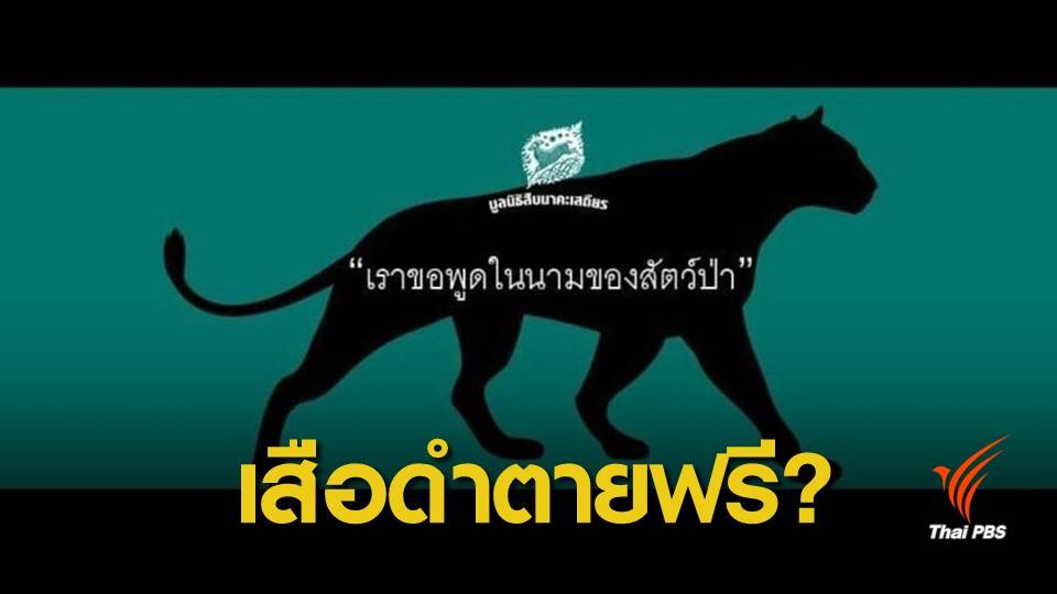 เสือดำ : "ศศิน" วิเคราะห์รูปคดี 1 ปีเสือดำตัดสิน 19 มี.ค.นี้