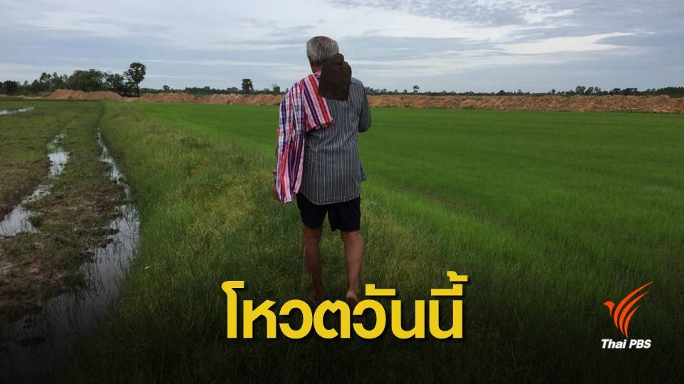 โหวตวันนี้ ! จับตา ร่างพ.ร.บ.ข้าวฉบับสุดท้าย