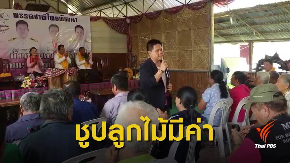 "ชาติไทยพัฒนา" หาเสียง "หนองบัวลำภู-ชัยภูมิ" ขายนโยบาย "ธนาคารต้นไม้" 