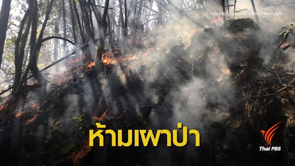 ฝุ่นพิษพุ่ง คพ.ประกาศ 9 จังหวัดเหนือ "งดเผา" พื้นที่การเกษตร