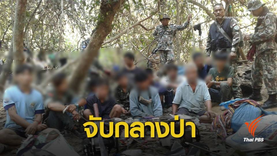 รวบแก๊งลักลอบตัดไม้พะยูง-ล่าสัตว์กลางป่าบุณฑริก