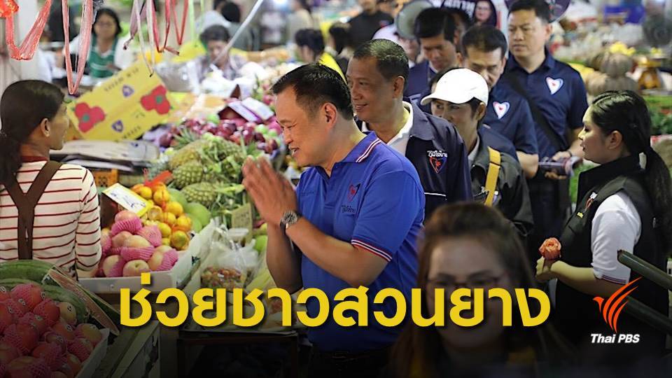 "ภูมิใจไทย" เล็งออกกฎหมายปกป้องชาวสวนยาง