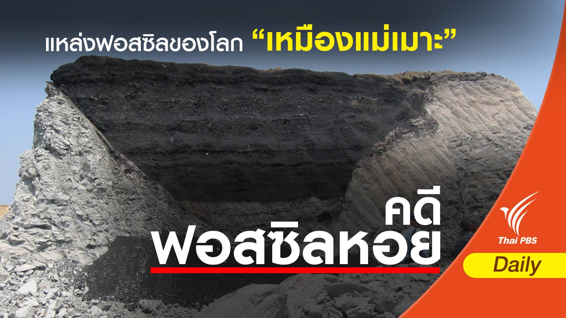 รู้จักแหล่งฟอสซิลของโลก "เหมืองแม่เมาะ"