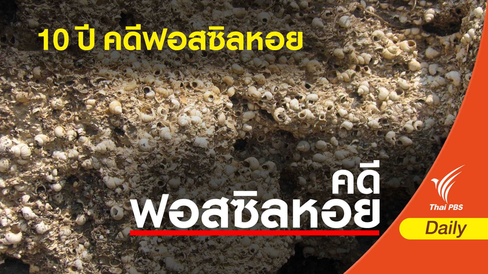 ย้อน 10 ปี คดีฟอสซิลหอย อายุ 13 ล้านปี