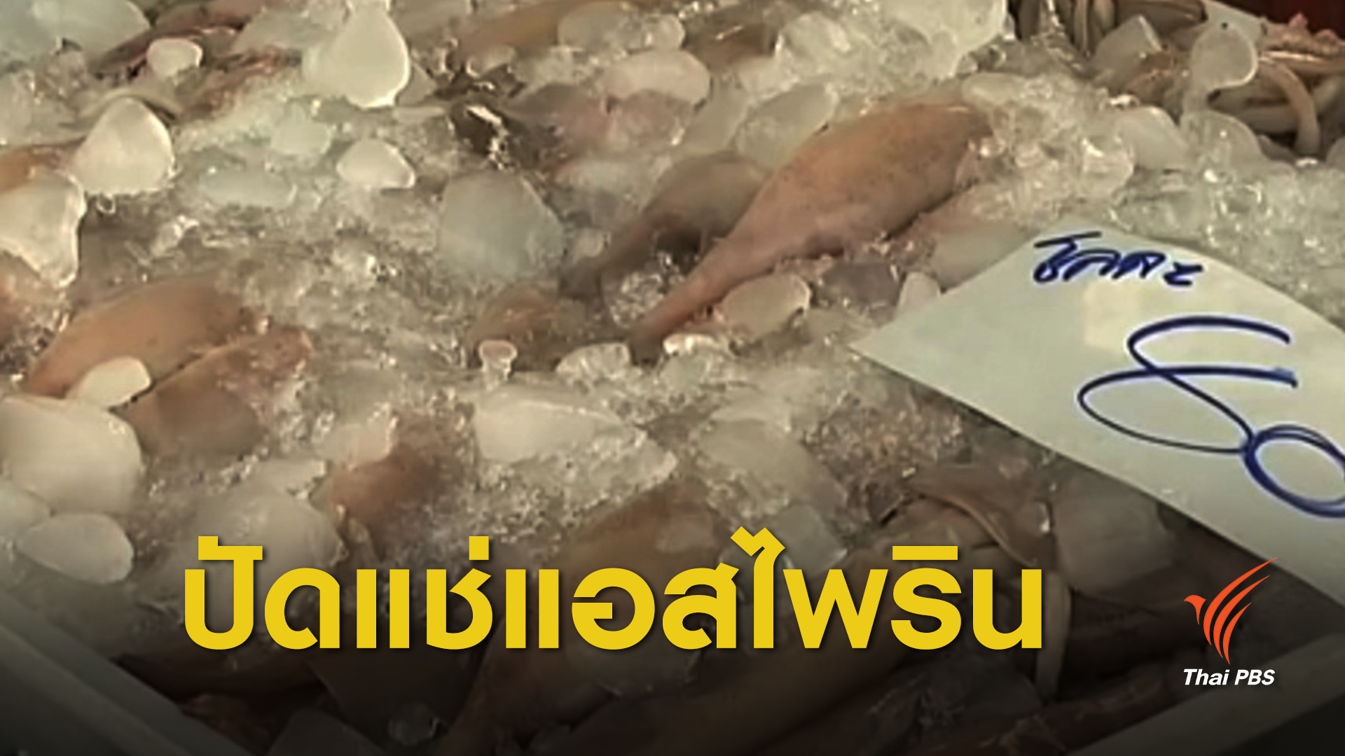 การันตี "หมึกสด" ไม่แช่ยาแอสไพริน ผ่าน สธ.ตรวจคุณภาพ