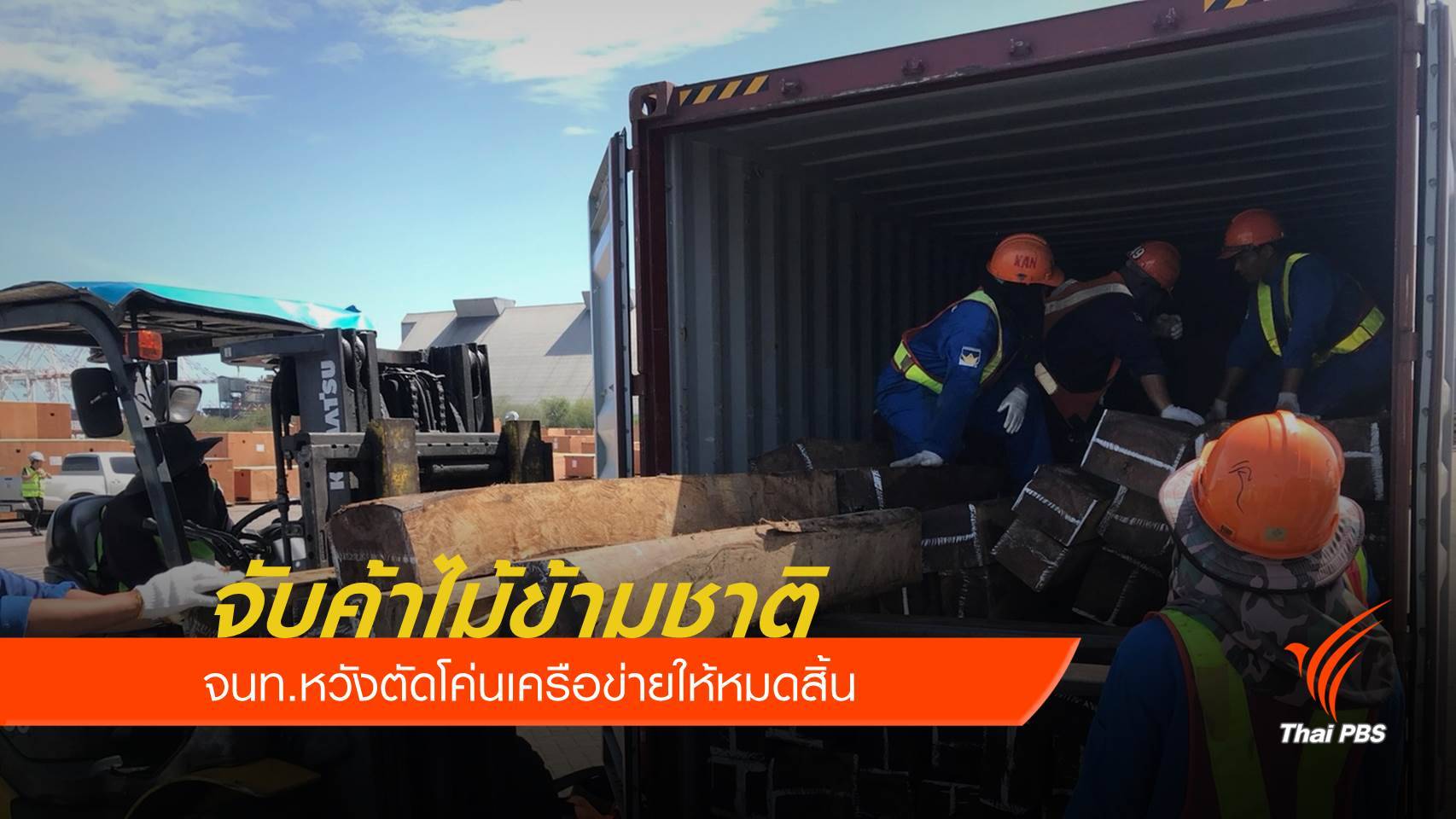 สั่งเช็กบิลเครือข่ายมู่หลาน ค้าไม้พะยูงข้ามชาติ
