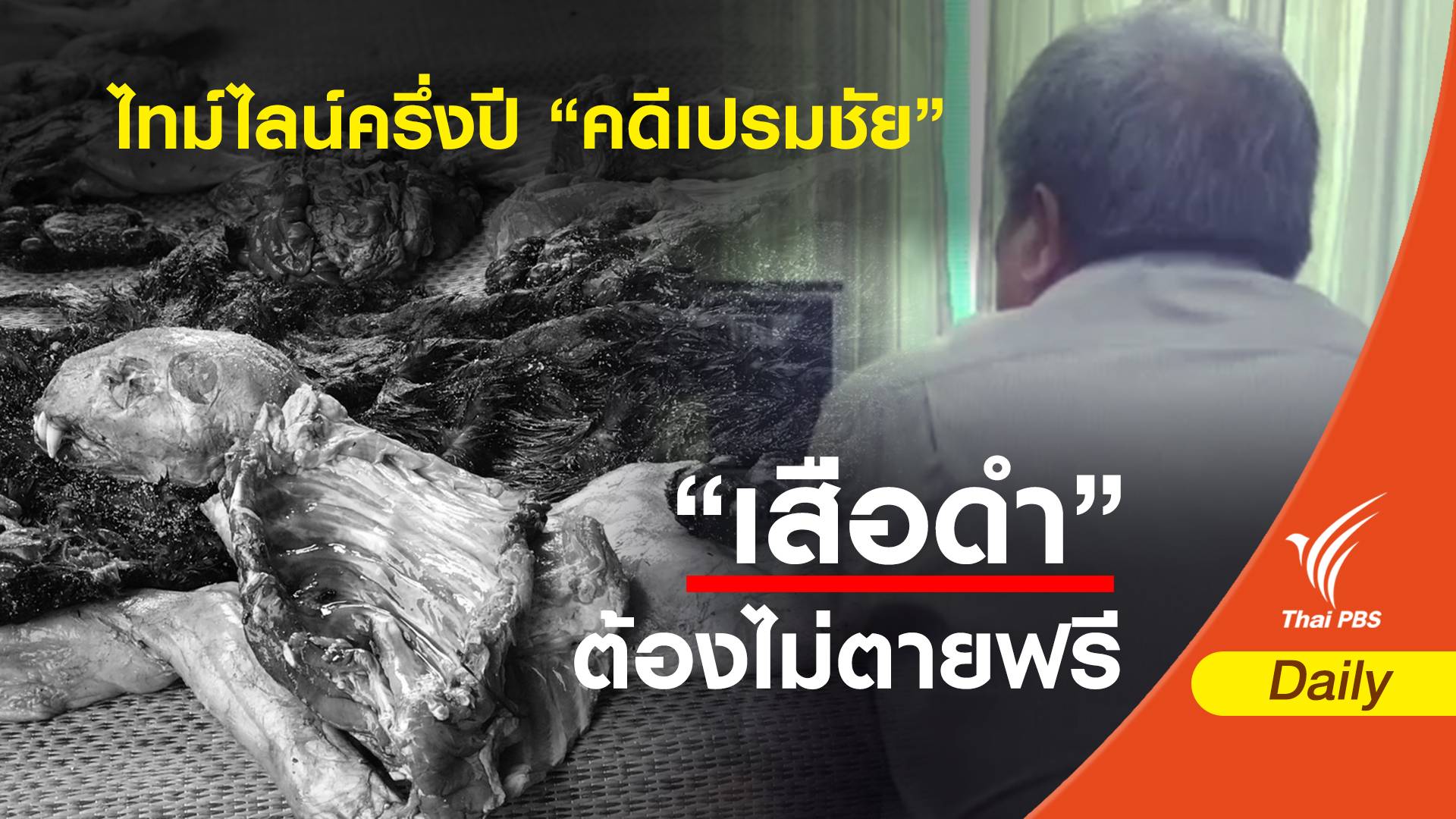 ไทม์ไลน์ครึ่งปี “คดีเปรมชัย”